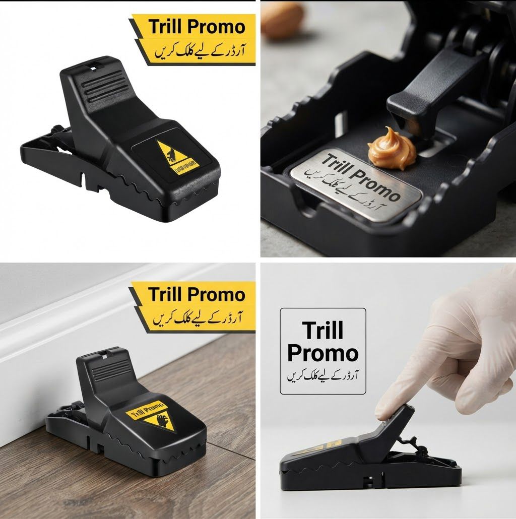 Mouse Trap