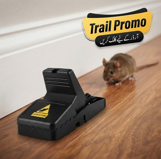 Mouse Trap